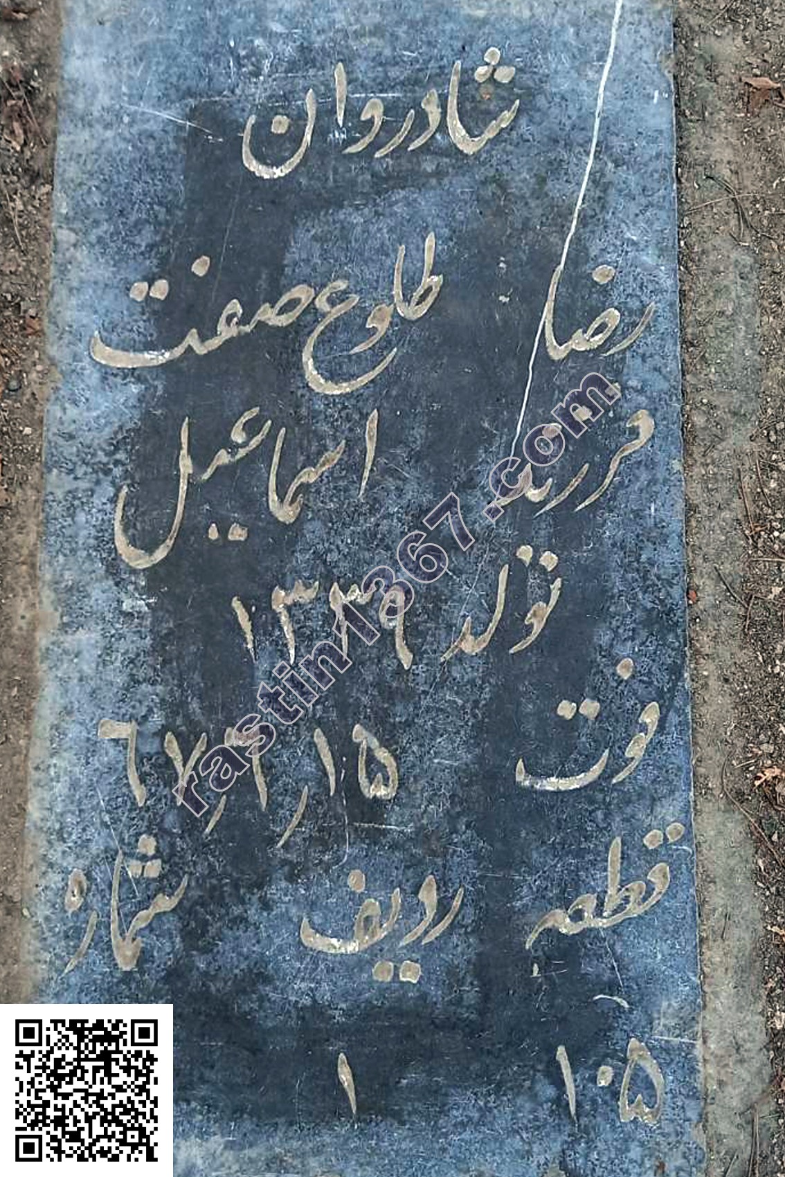 رضا طلوع‌صفت
