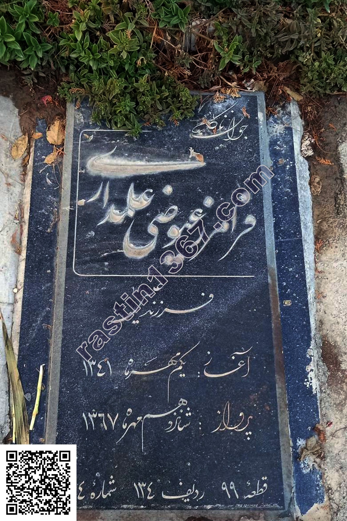 فرامرز عیوضی علمداری
