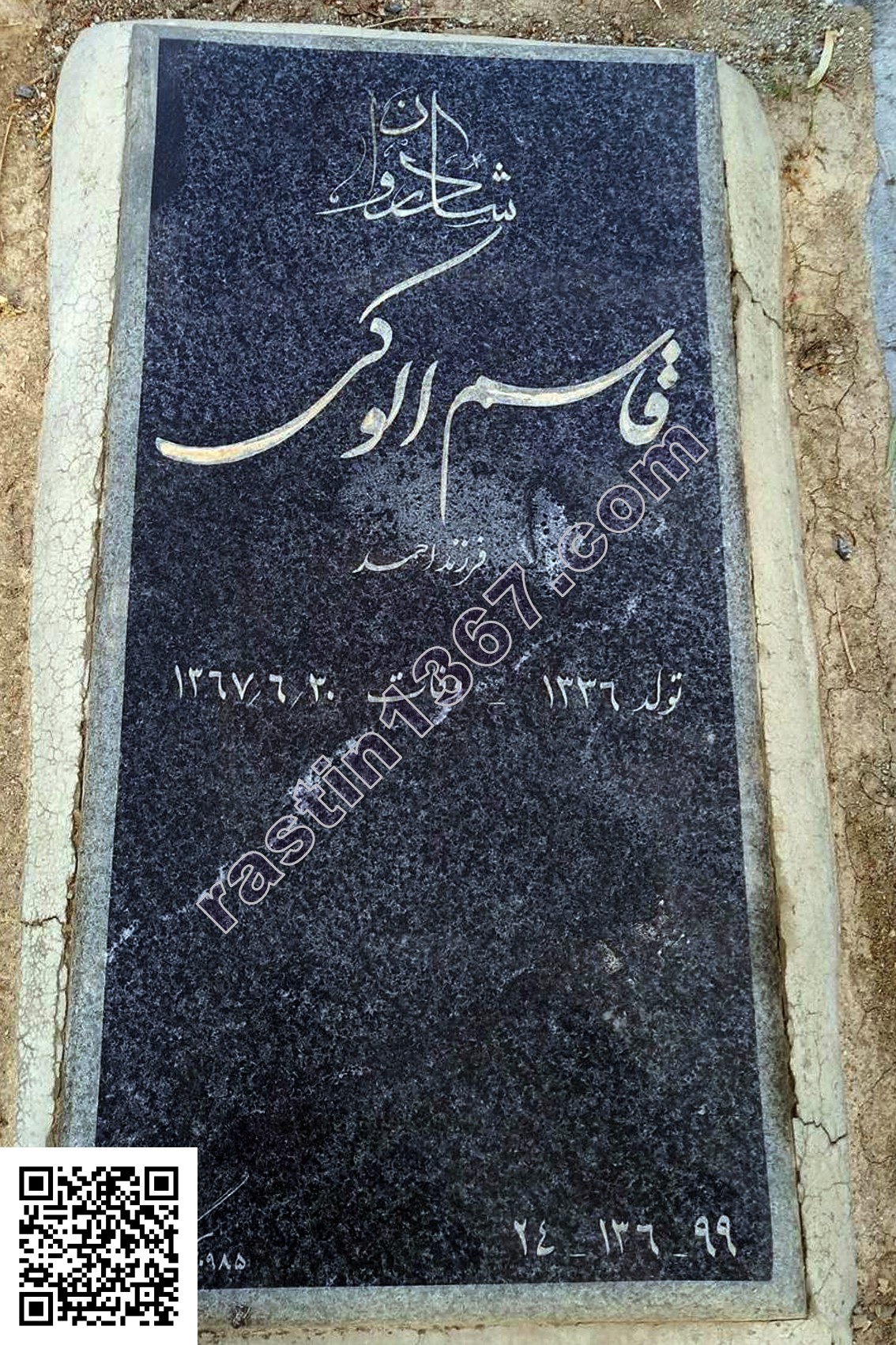 قاسم الوکی