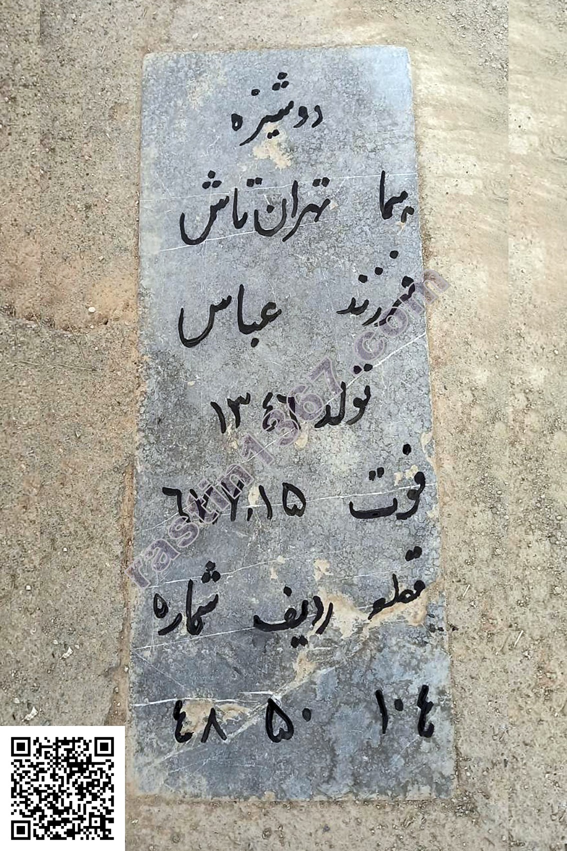 هما تهران‌تاش